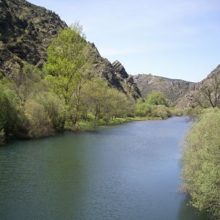 Río Lozoya en Patoness