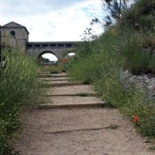 Turismo en Patones: senda del barranco