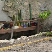 Macetero con el viejo comedero