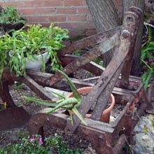 Reciclaje aperos del campo