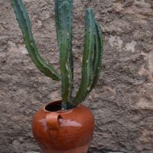 Decorar con objetos del campo