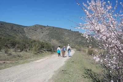 paseando con el abuelo