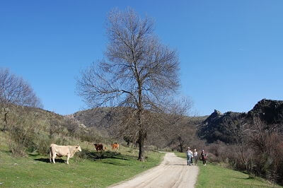 ruta del agua en patones en invierno