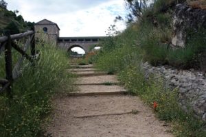 Canal del Jarama Patones