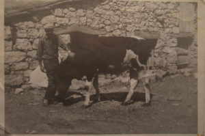 Fotografía antigua Casa rural Melones