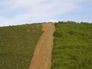 Ruta cancho de la Cabeza