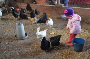 Casa rural con animales