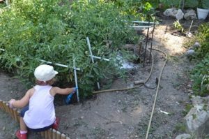 Casa rural con huerto