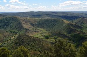 geolodia 2017 patones 5