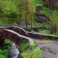 arroyo patones arriba