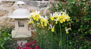 Alojamiento rural con jardín en Patones