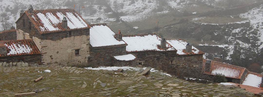 nevada patones arriba