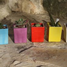 Macetas cuadradas pequeñas