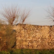 Visita al Canal de Cabarrús