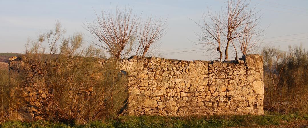 Visita al Canal de Cabarrús