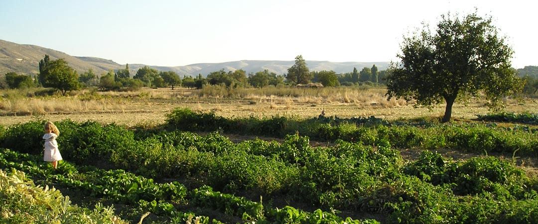 Visita a las huertas de Patones