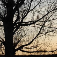 Visita Canal de Cabarrús