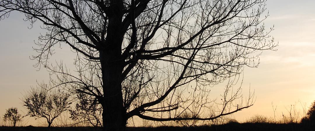 Visita Canal de Cabarrús