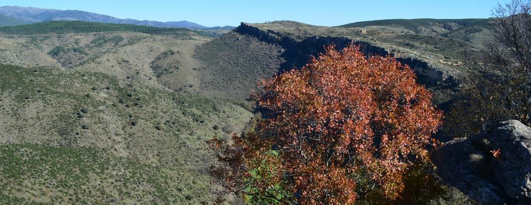 Visita al Pontón de la Oliva Patones