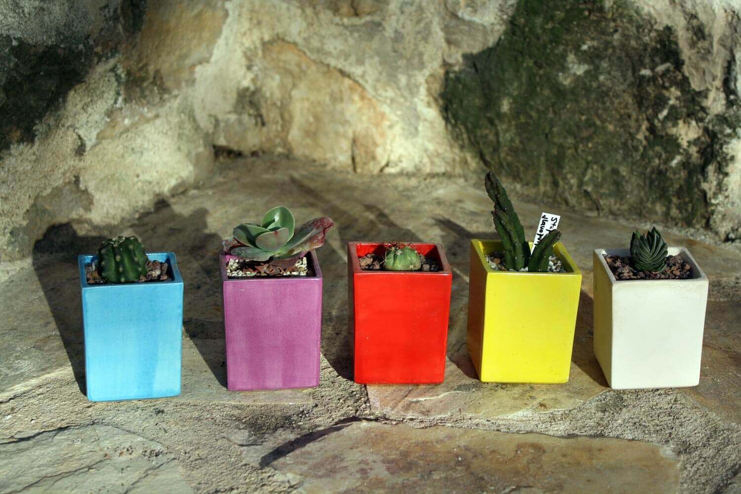 Macetas cuadradas pequeñas