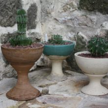 Macetas de copa pequeña