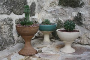 Macetas de copa pequeña
