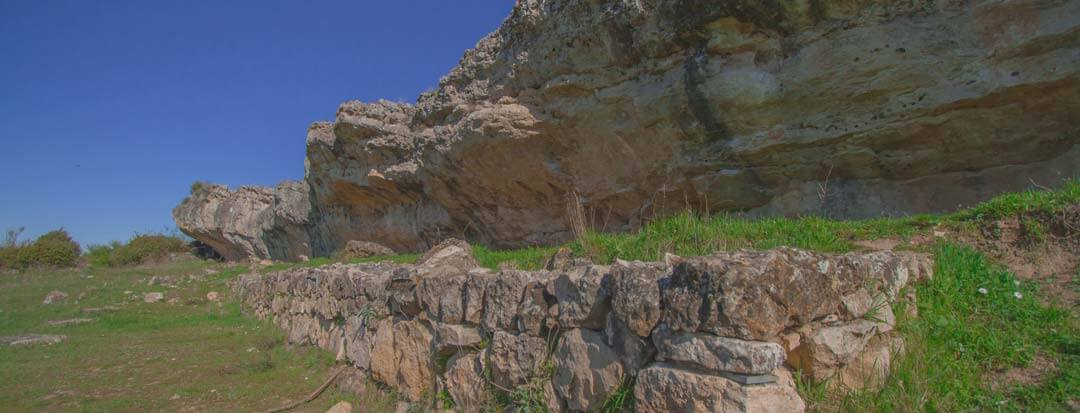 Visita dehesa de la oliva Patones