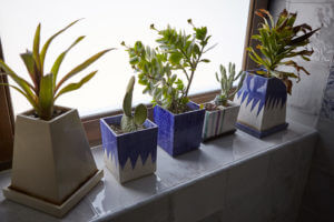 turismo slow en patones