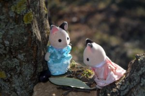 experiencias rurales con niños