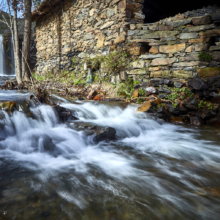 viviendo la primavera en la sierra norte de madrid