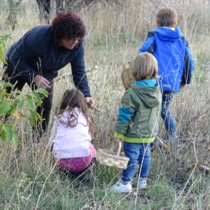 planes de otoño en la sierra norte de madrid