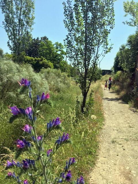 Paseando por Patones de Abajo