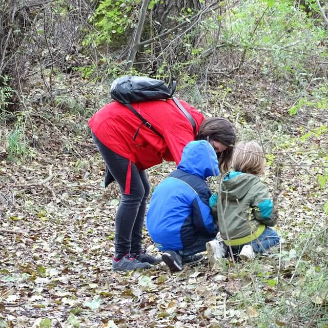ribera cercana al Pontón de la Oliva