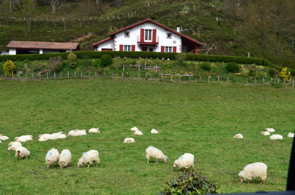 Valle de Alduides Francia