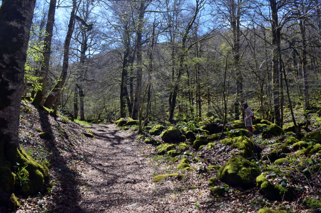 Viaje sola con mi hija a Navarra