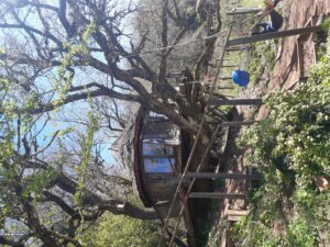 cabaña del arbol en agroturismo maricruz