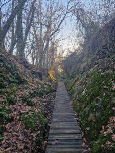 rutas a la sombra cerca de Madrid