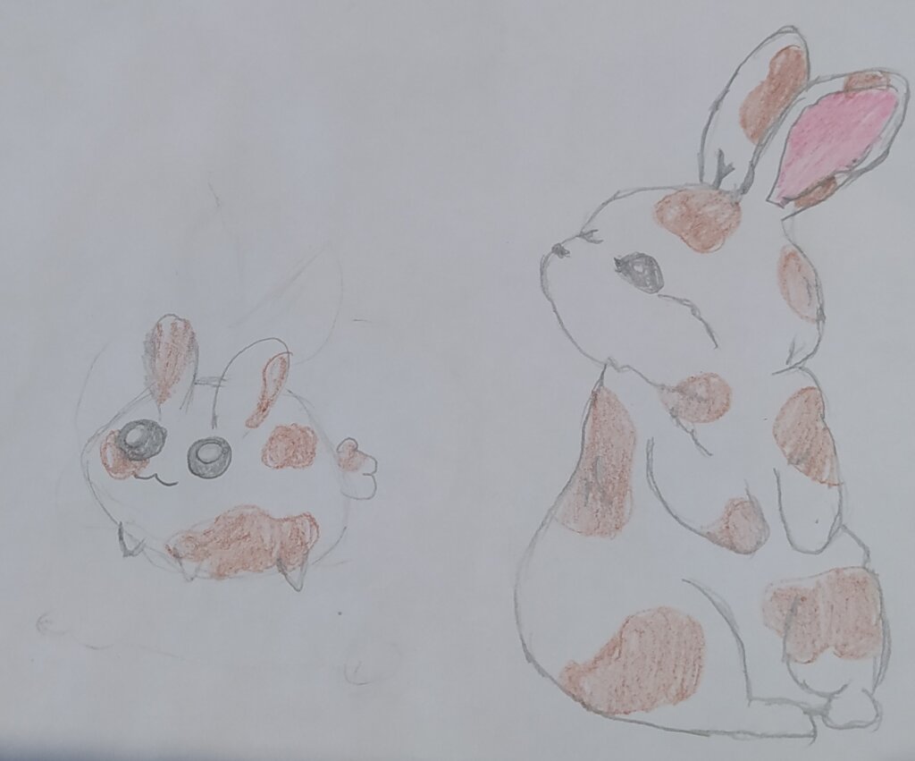 La historia de Bruji, nuestra coneja