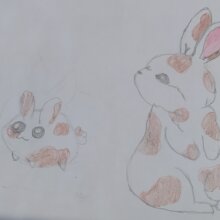 La historia de Bruji, nuestra coneja